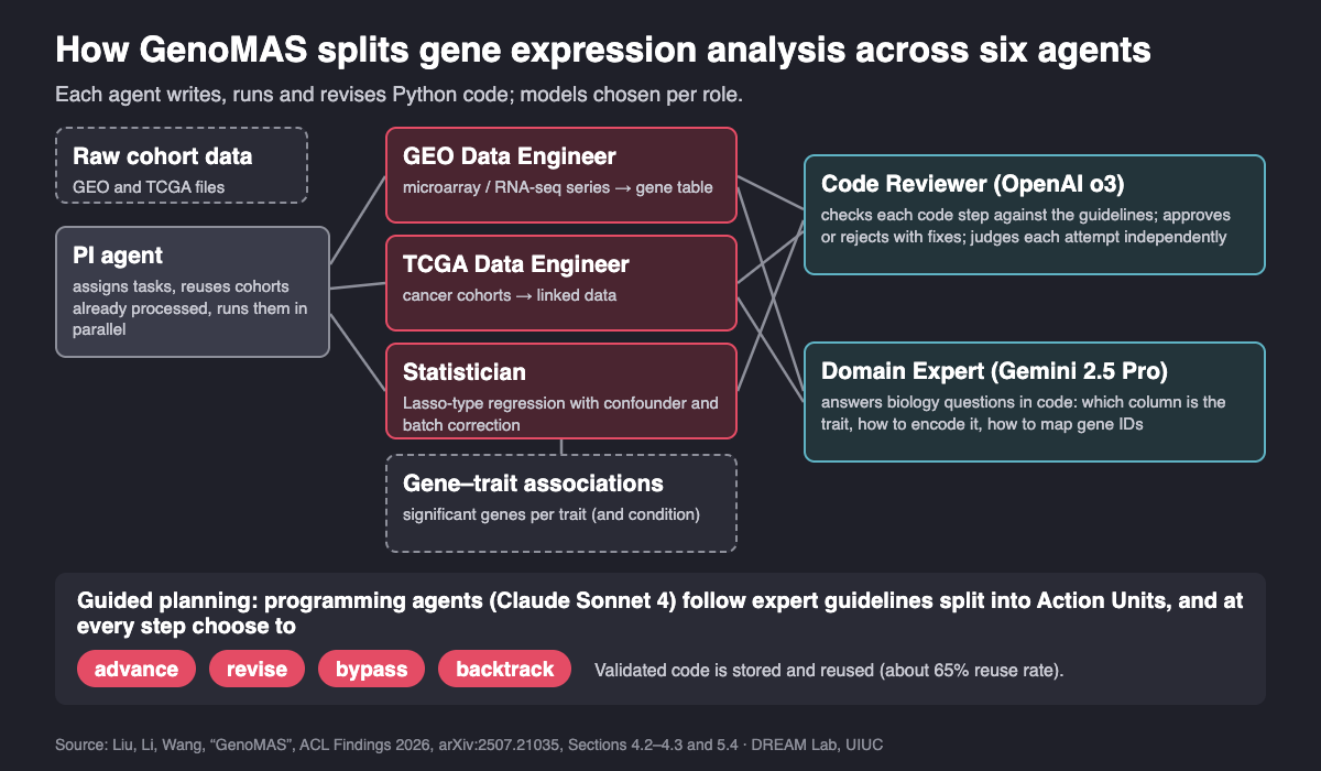 Diagram of the GenoMAS multi-agent system. Raw GEO and TCGA cohort data go to a PI agent, which assigns work to three programming agents: a GEO Data Engineer, a TCGA Data Engineer and a Statistician that runs Lasso-type regression with confounder and batch correction and outputs gene-trait associations. The programming agents send code to a Code Reviewer agent powered by OpenAI o3, and the Data Engineers consult a Domain Expert agent powered by Gemini 2.5 Pro. Below, a guided-planning bar shows that the programming agents, powered by Claude Sonnet 4, follow expert guidelines split into Action Units and at each step choose to advance, revise, bypass or backtrack, with validated code stored for reuse at about a 65% reuse rate.