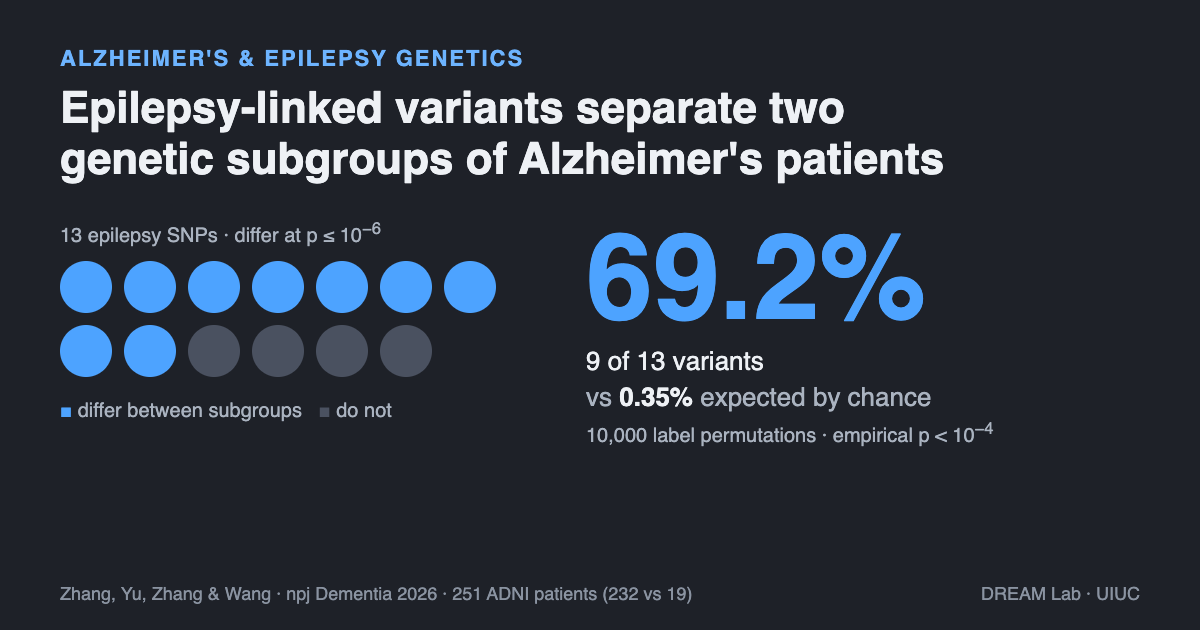 Dot chart of the 13 epilepsy-associated SNPs tested, 9 of them highlighted in blue as differing between the two Alzheimer's subgroups at p at or below one in a million. Large text: 69.2%, 9 of 13 variants, versus 0.35% expected by chance, from 10,000 label permutations with empirical p below one in ten thousand. Source: Zhang, Yu, Zhang and Wang, npj Dementia 2026, 251 ADNI patients split 232 versus 19.