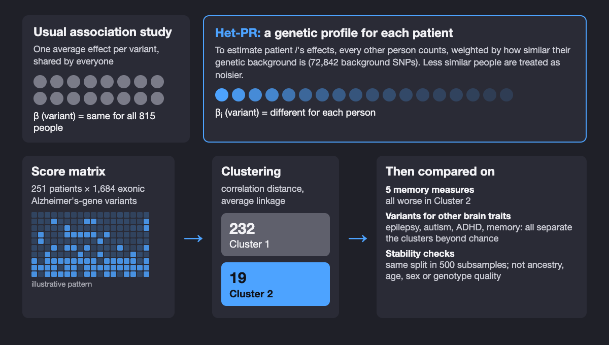 Diagram of the study pipeline. Left: a standard genetic study fits one average effect per variant for all 815 people. Right: Het-PR fits a separate set of effects for each person, weighting other people by how similar their genetic background is. This produces a matrix of 251 Alzheimer's patients by 1,684 exonic Alzheimer's-related variants. Hierarchical clustering of that matrix splits patients into Cluster 1 (232 patients) and Cluster 2 (19 patients). The clusters are then compared on five memory measures and on variants linked to epilepsy, ADHD, autism and memory performance.